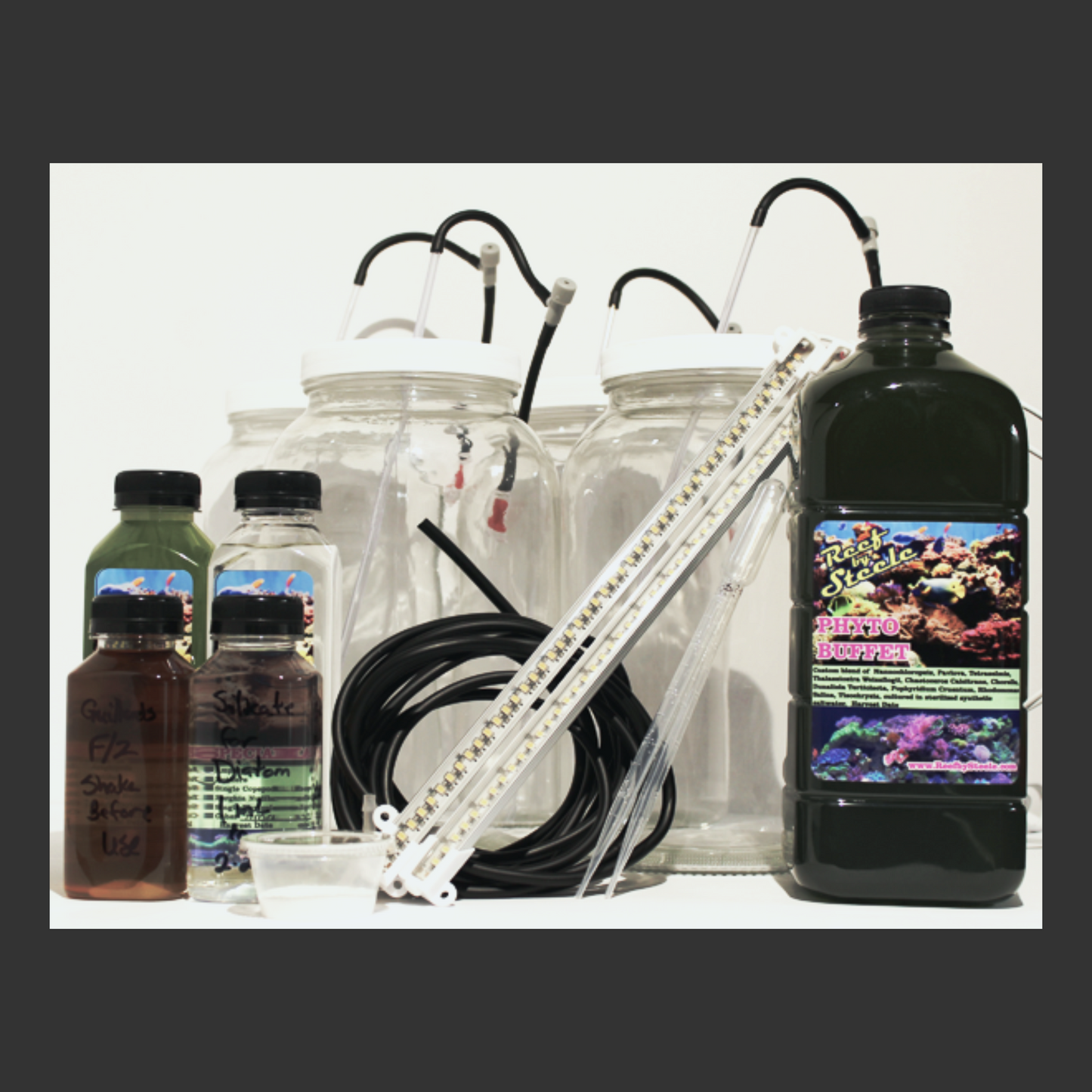 Custom Culture Kit, Double Active Diatom W/Back-up