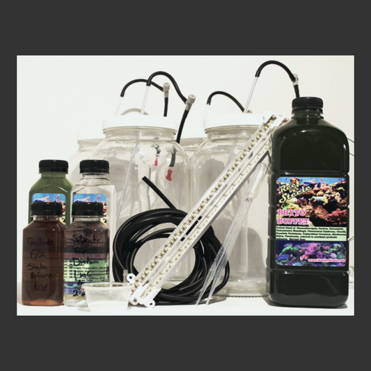 Custom Culture Kit, Double Active Diatom W/Back-up