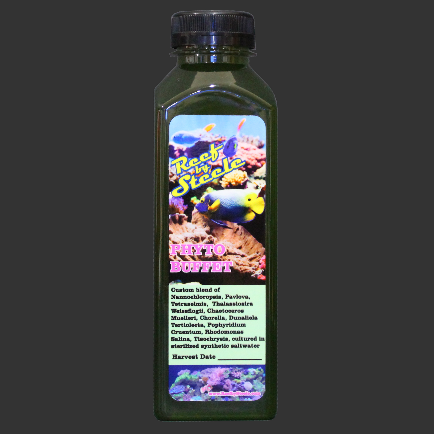 PHYTO BUFFET