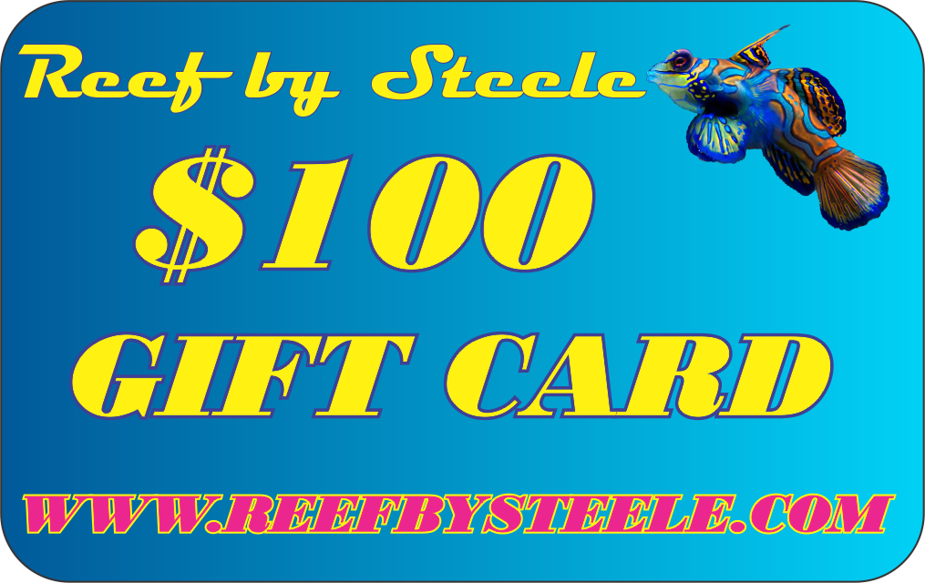 REEF BY STEELE $25 GIFT CARD