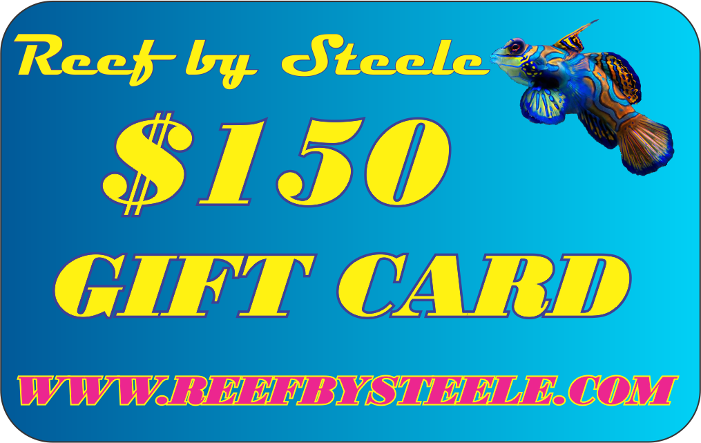 REEF BY STEELE $25 GIFT CARD