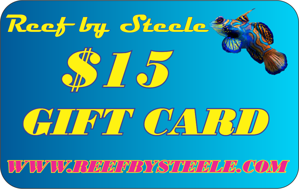REEF BY STEELE $25 GIFT CARD