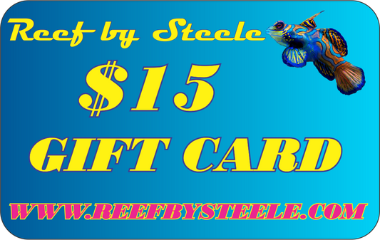 REEF BY STEELE $25 GIFT CARD