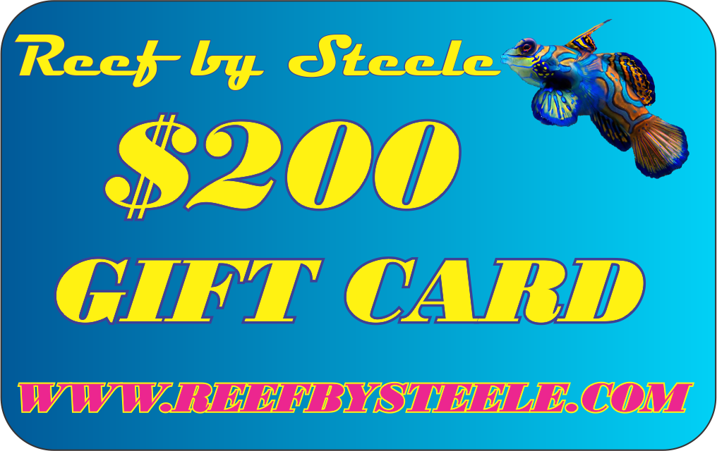 REEF BY STEELE $25 GIFT CARD
