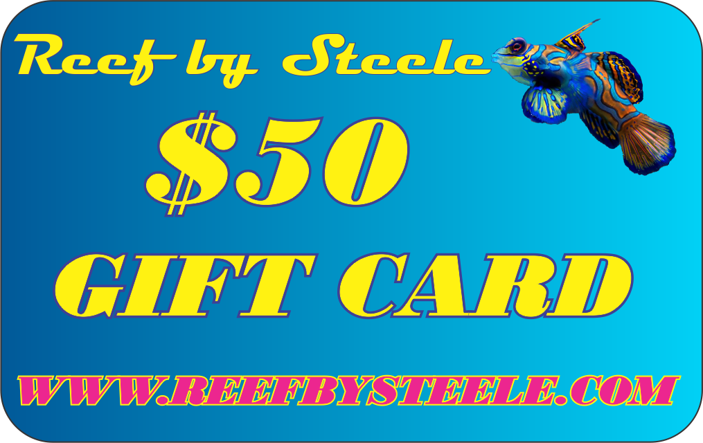 REEF BY STEELE $25 GIFT CARD