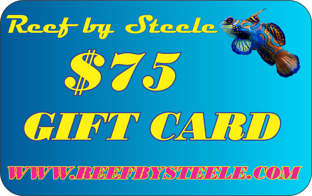 REEF BY STEELE $25 GIFT CARD