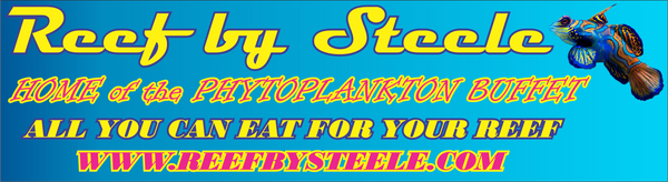 Reef By Steele logo