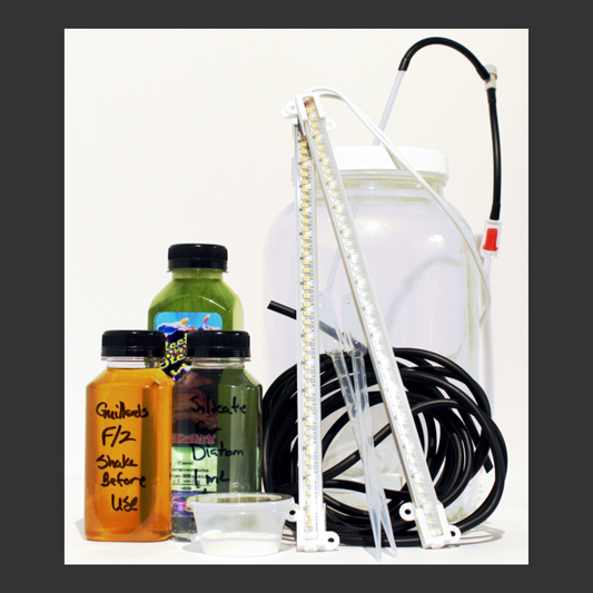 Custom Culture Kit, Single Active Diatom, with Backup