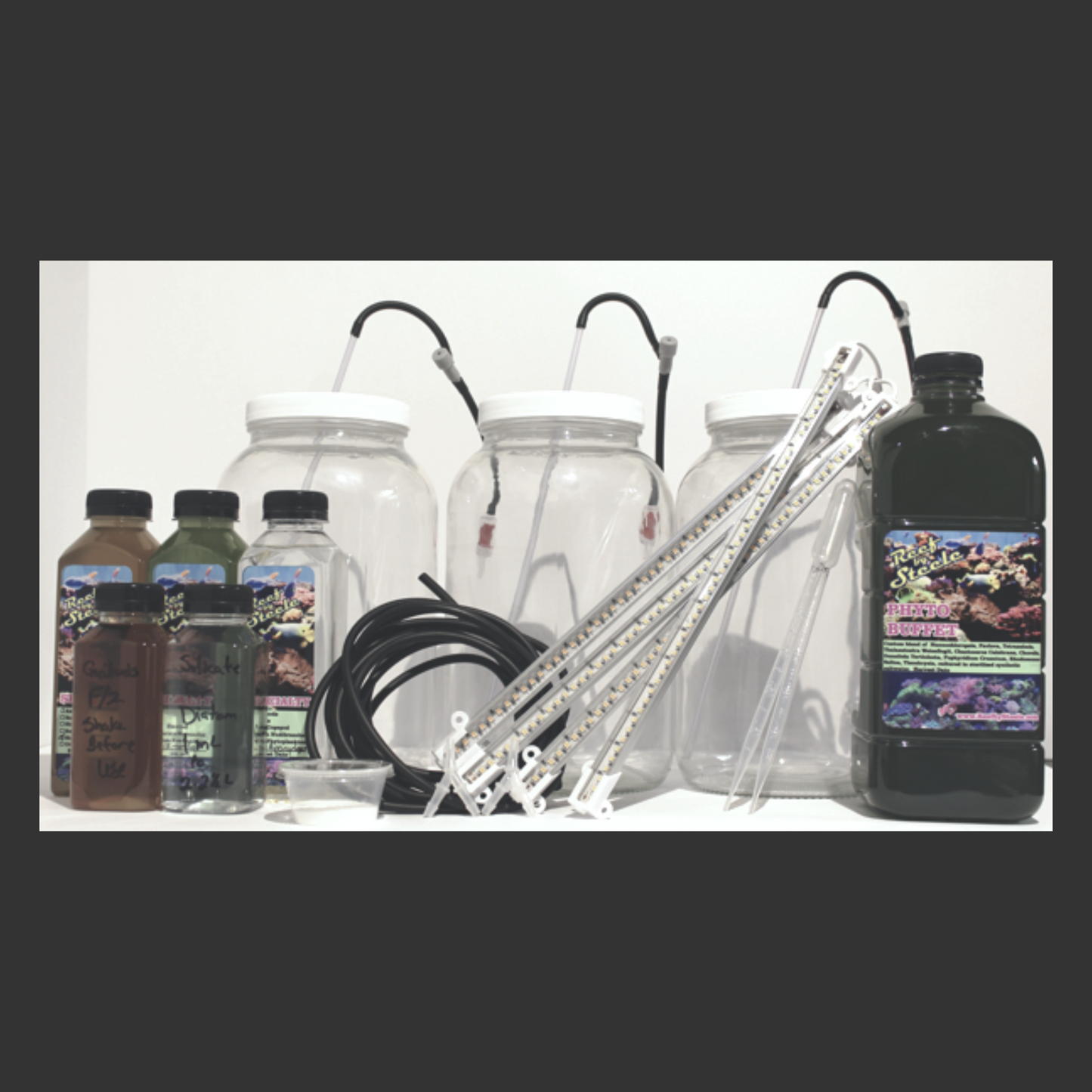 Custom Phyto Culture Kit, Triple Active Diatom w/backup
