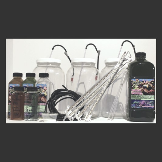 Custom Phyto Culture Kit, Triple Active Diatom w/backup