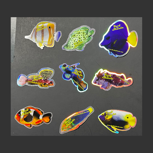 Reef Stickers