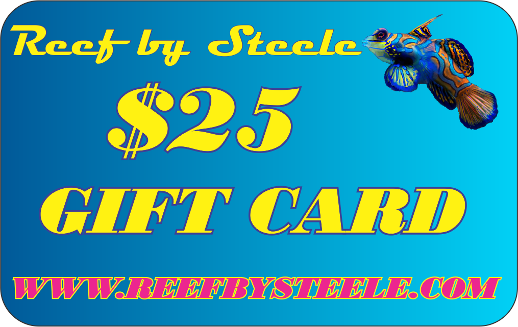 REEF BY STEELE $25 GIFT CARD