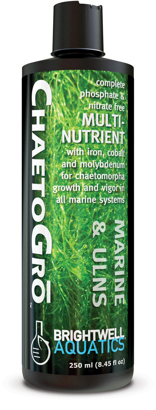 Brightwell Chaeto Gro