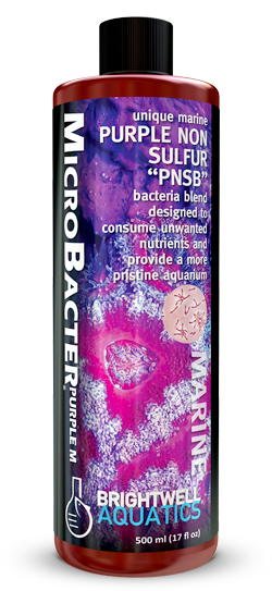 Brightwell MicroBacter Purple M